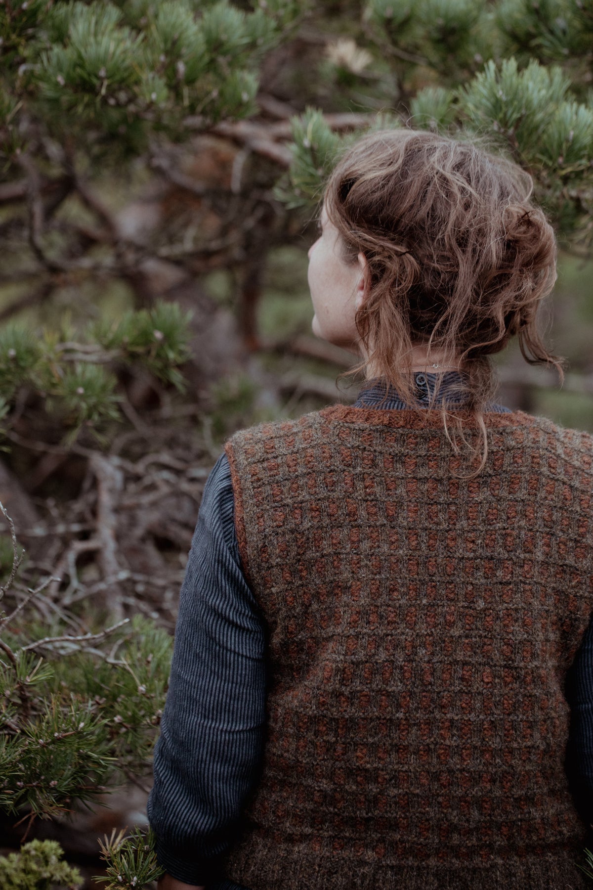 The Island and the Forest: A Knitted Correspondence